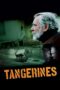 Tangerines 2013