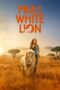 Mia And The White Lion 2018