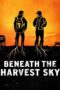 Beneath The Harvest Sky 2013