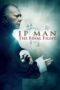 Ip Man The Final Fight 2013