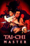 Tai Chi Master 1993