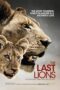 The Last Lions 2011