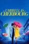The Umbrellas Of Cherbourg 1964