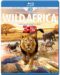 Wild Africa 3d An Extraordinary Journey 2013