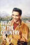 Wild In The Country 1961