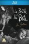 Cocteau S Dreams In Digital The Story Of Beauty And The Beast 2017