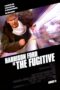 The Fugitive 1993