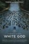 White God 2014