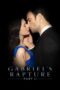 Gabriels Rapture Part Ii Gabriels Rapture Part Two 2022