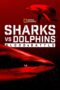 Sharks Vs Dolphins Blood Battle 2020