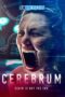 Cerebrum 2022