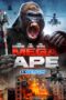 Mega Ape 2023