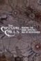 The Crystal Calls Making The Dark Crystal Age Of Resistance 2019