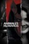 Human Animals 2020