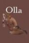 Olla 2019