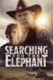 Searching For The Elephant 2024