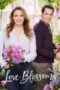 Love Blossoms 2017
