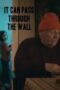 It Can Pass Through The Wall 2014