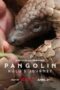 Pangolin Kulus Journey 2025