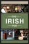 The Irish Pub 2013