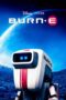 burnc2b7e-2008