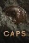 Caps 2017