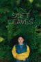 Soft Leaves 2025