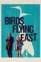 Birds Flying East 2024