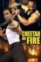 Cheetah On Fire 1992